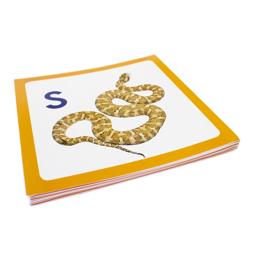 Letter Sound Wall Border