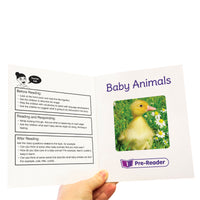 Junior Learning BB922 Letters & Sounds Phase 1 Set 2 Non-Fiction - 6 Pack information page
