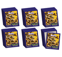 Junior Learning BB901 Science Decodables Phase 3 Non-Fiction - 6 Pack all books