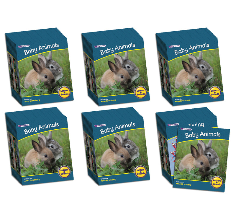Letters & Sounds Phase 1 Set 2 Non-Fiction - 6 Pack – Junior Learning UK
