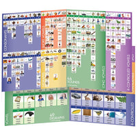 Junior Learning JL262 44 Sound Board front and back