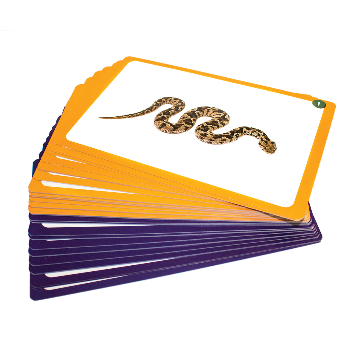 Junior Learning JL269 44 Sound cards spread