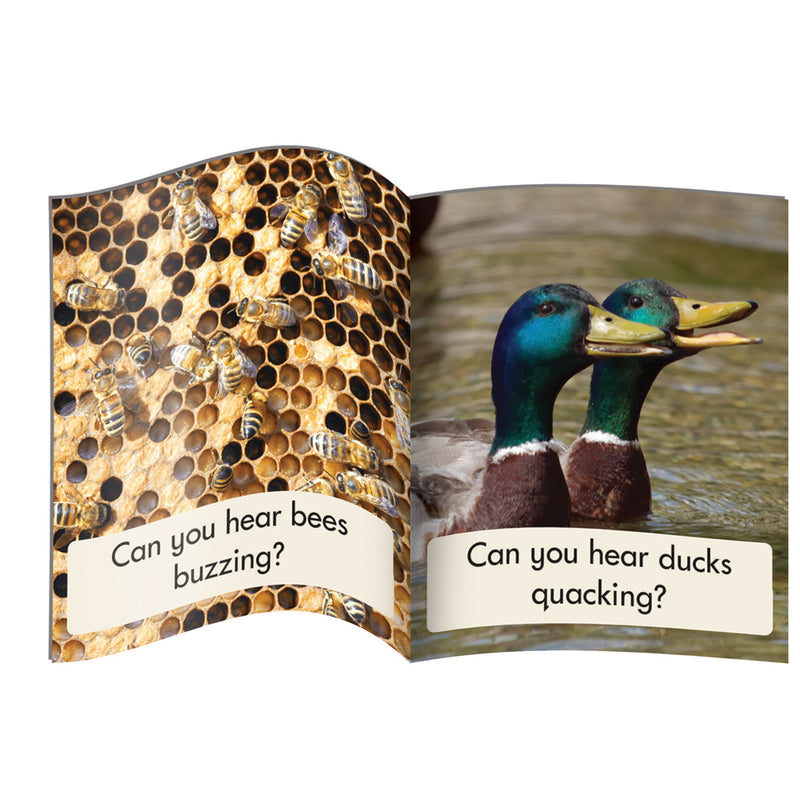 Letters & Sounds Phase 3 Set 1 Non-Fiction - 6 Pack – Junior Learning UK
