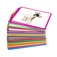 Junior Learning JL471 Letter Sound Picture Cards all cards