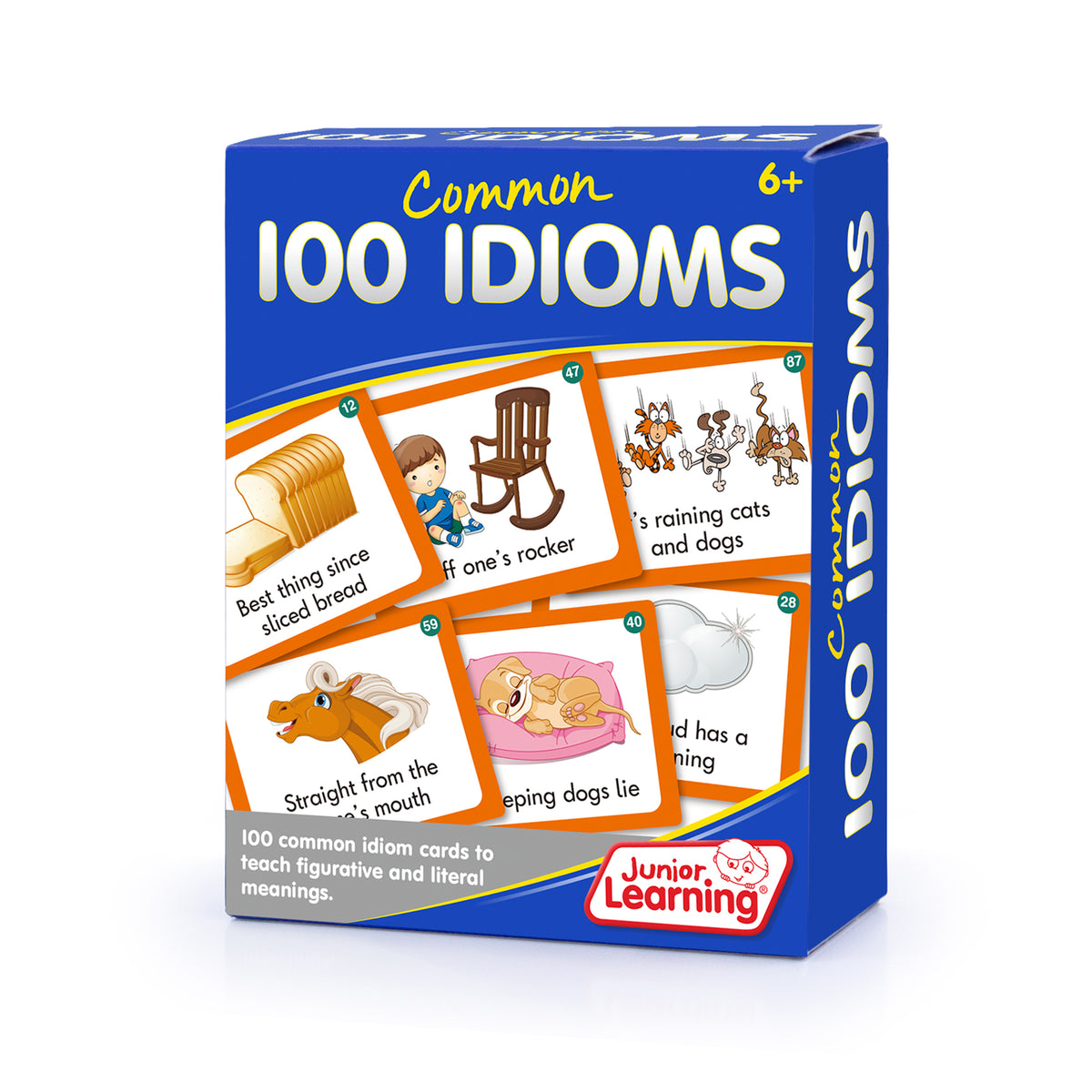 100 Common Idioms left side box