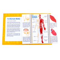 Junior Learning JL647 Anatomy Flips open book