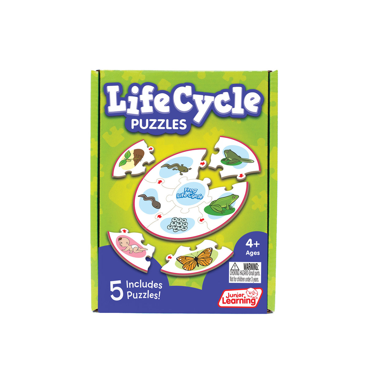 Life Cycle Puzzles