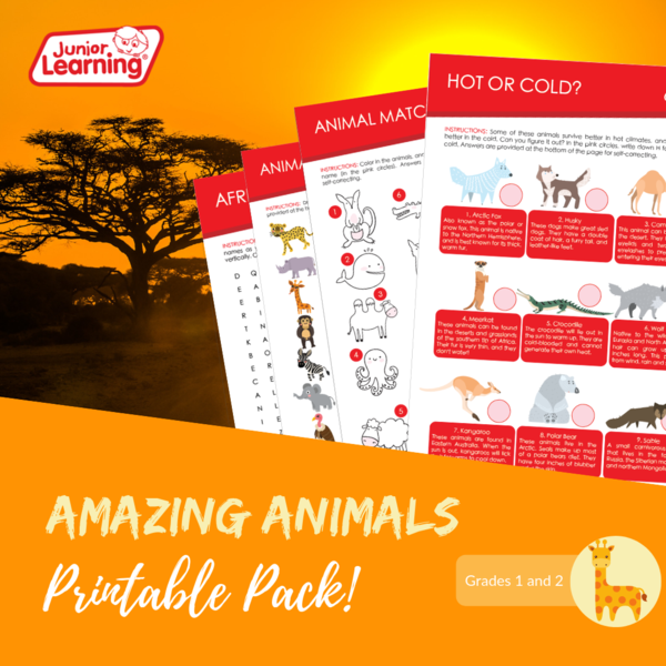 Amazing Animal Printables