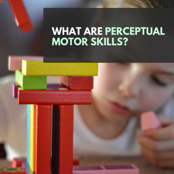 What are Perceptual Motor Skills?