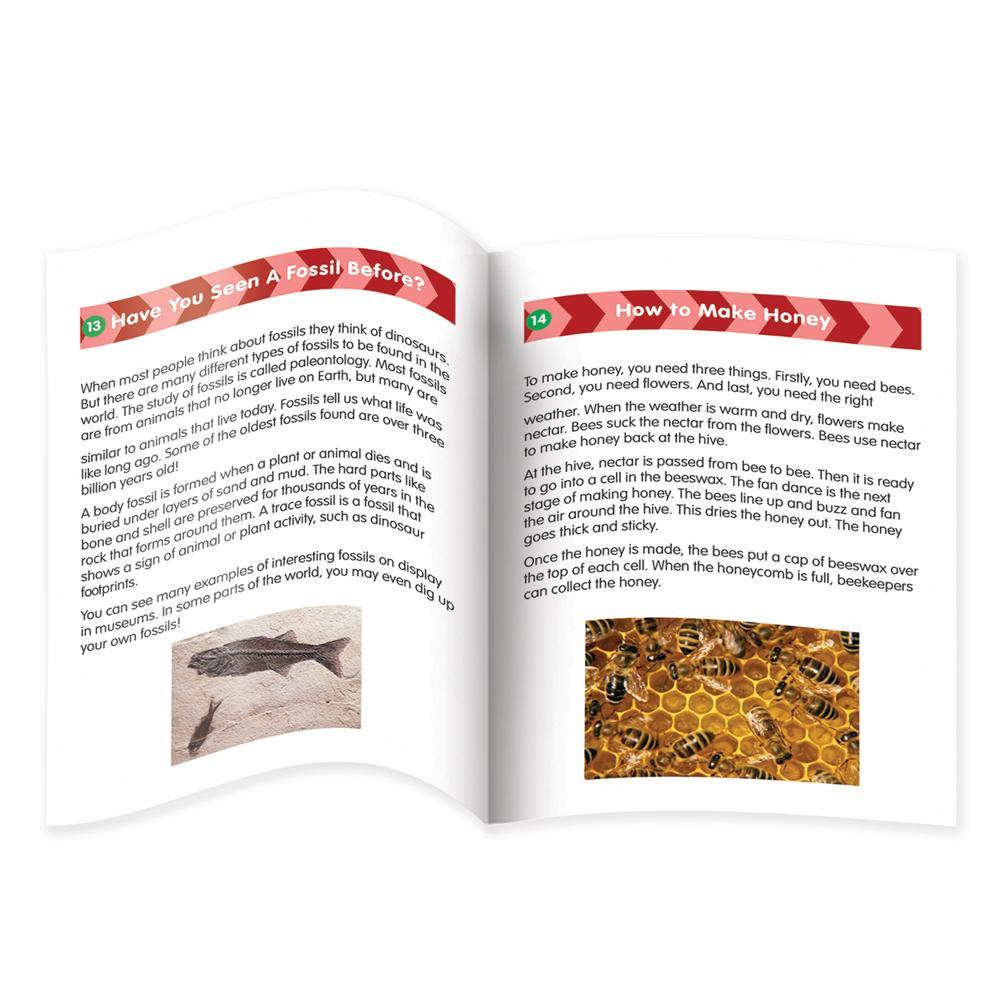 Reading Comprehension (Set 2) – Junior Learning UK