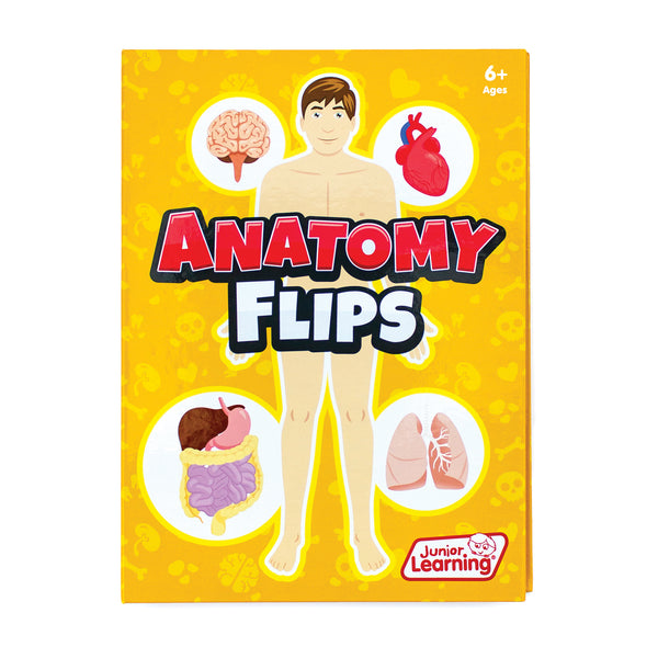 Junior Learning JL647 Anatomy Flips front faced book