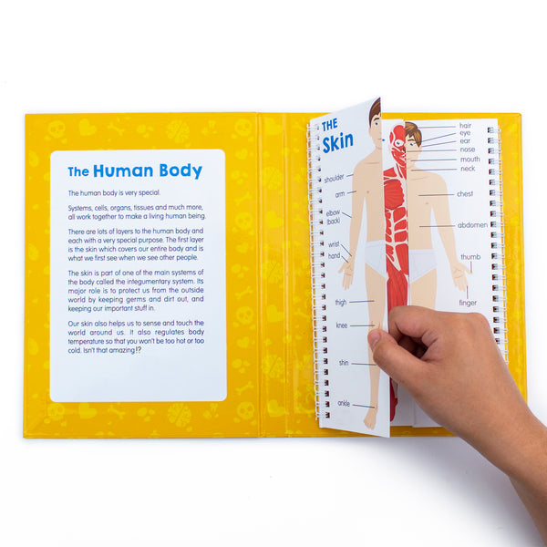 A hand turning the page of Junior Learning JL647 Anatomy Flips