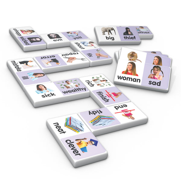Junior Learning JL665 Synonyms Dominoes pieces
